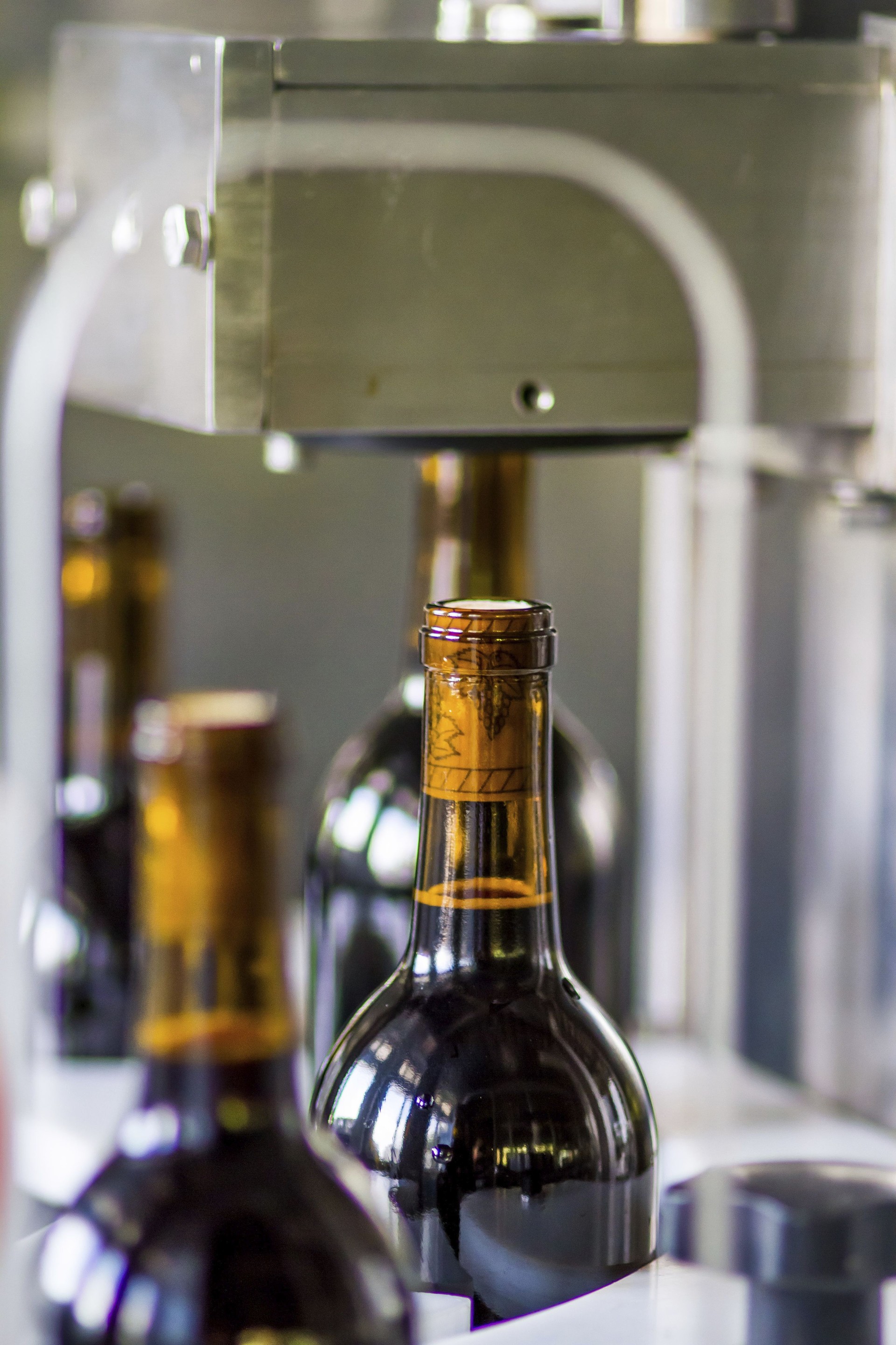wine production